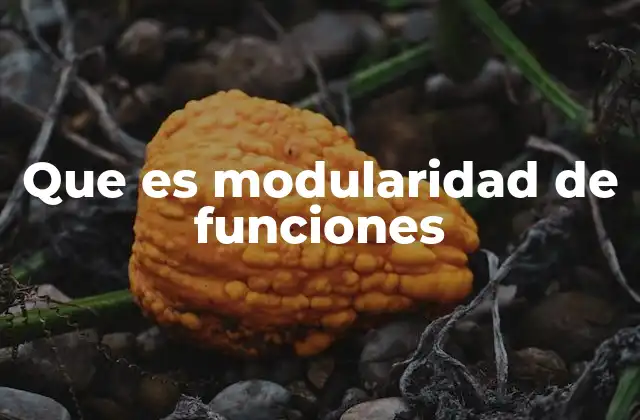 Que es Modularidad de Funciones