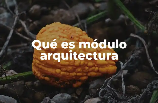 Qué es Módulo Arquitectura 2 El módulo como base para una arquitectura racional y funcional