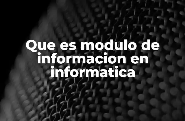 Que es Modulo de Informacion en Informatica