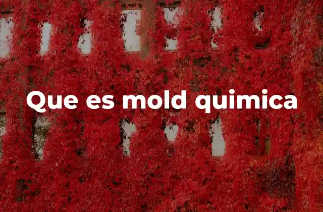 Que es Mold Quimica 2 Mold química en la producción industrial