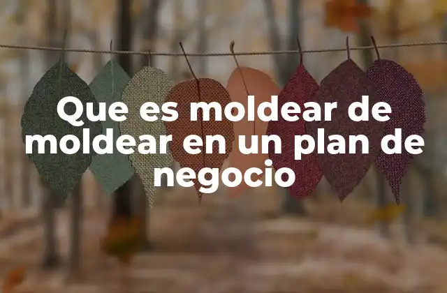 Que es Moldear de Moldear en un Plan de Negocio