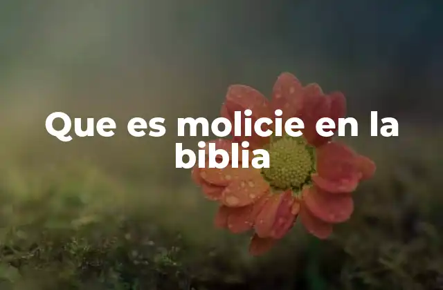 Que es Molicie en la Biblia