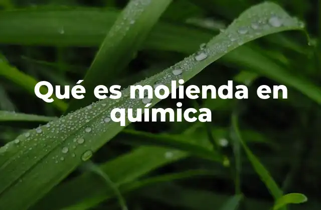 Qué es Molienda en Química