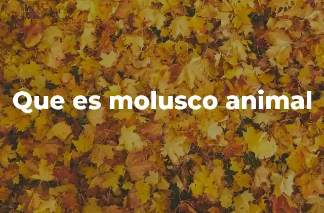 Que es Molusco Animal 2 Características comunes de los moluscos