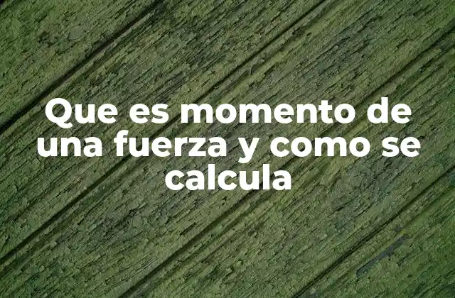 Que es Momento de una Fuerza y como Se Calcula
