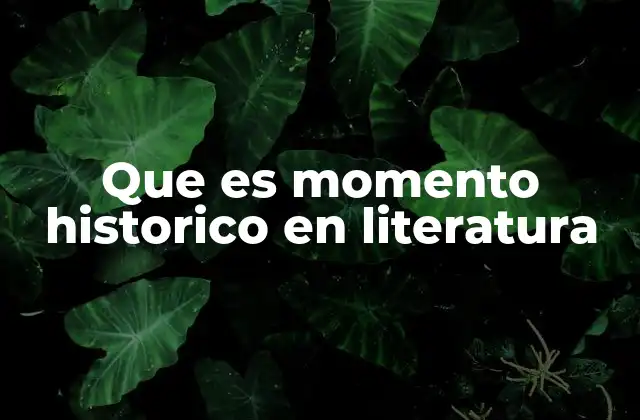 Que es Momento Historico en Literatura