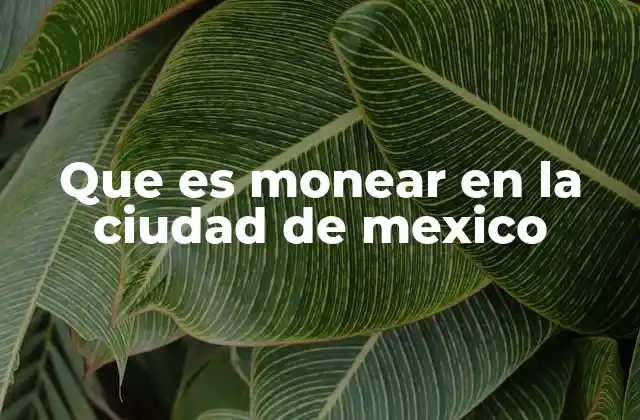 Que es Monear en la Ciudad de Mexico
