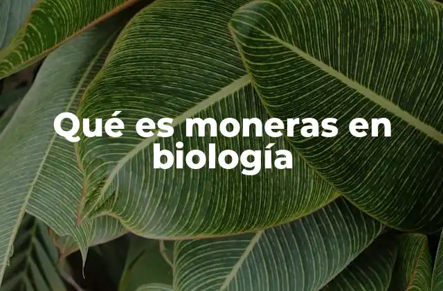 Qué es Moneras en Biología