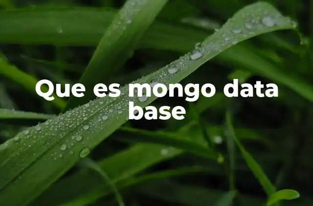 Que es Mongo Data Base 2 Características clave de MongoDB