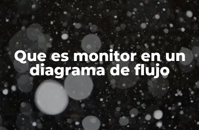 Que es Monitor en un Diagrama de Flujo