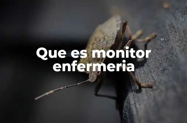 Que es Monitor Enfermeria