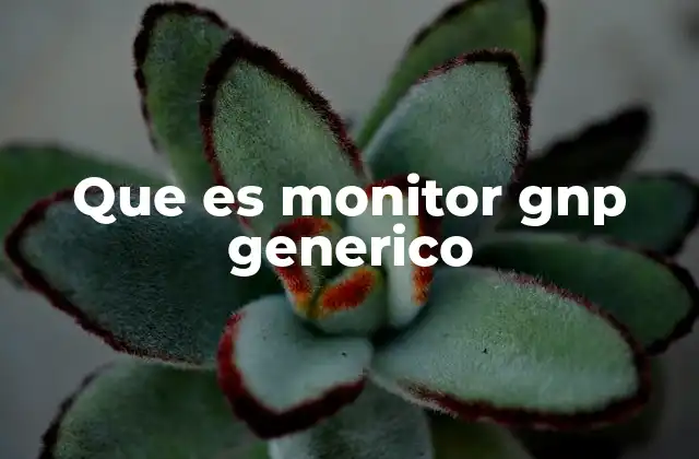 Que es Monitor Gnp Generico