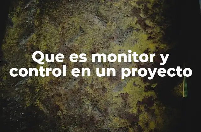Que es Monitor y Control en un Proyecto