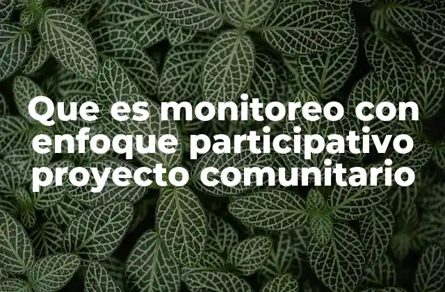 Que es Monitoreo con Enfoque Participativo Proyecto Comunitario 2 La importancia de involucrar a la comunidad en el monitoreo de proyectos