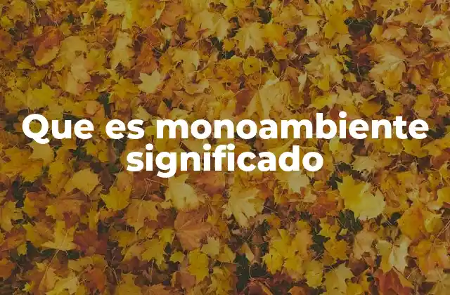 Que es Monoambiente Significado