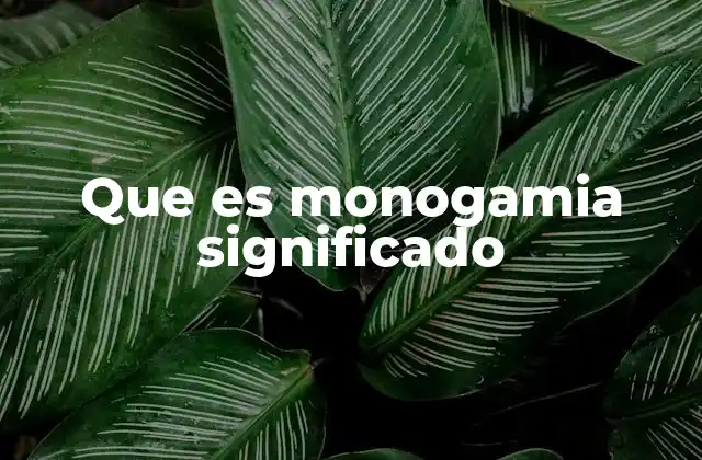 Las raíces culturales y sociales de la monogamia