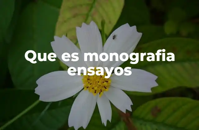 Que es Monografia Ensayos