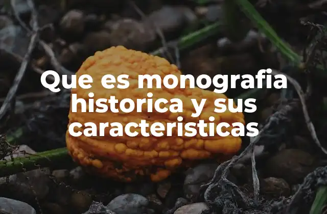 Que es Monografia Historica y Sus Caracteristicas