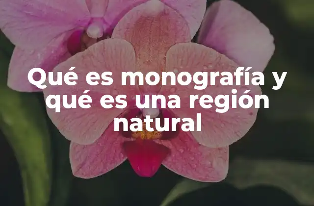 Qué es Monografía y Qué es una Región Natural