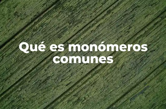 Qué es Monómeros Comunes