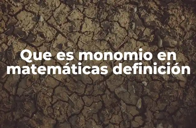 Que es Monomio en Matemáticas Definición