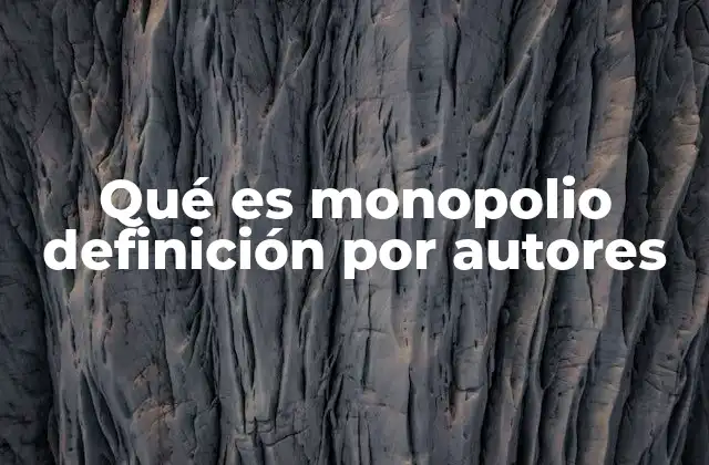 Qué es Monopolio Definición por Autores