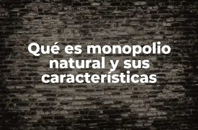 Qué es Monopolio Natural y Sus Características