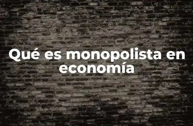 Qué es Monopolista en Economía 2 El poder de mercado y el monopolista