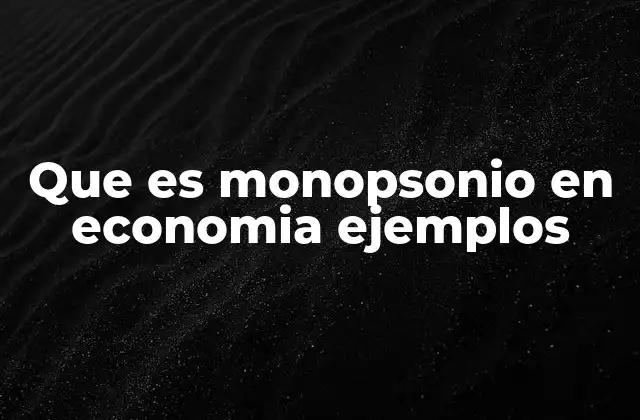 Que es Monopsonio en Economia Ejemplos 2 El monopsonio como poder desigual en el mercado