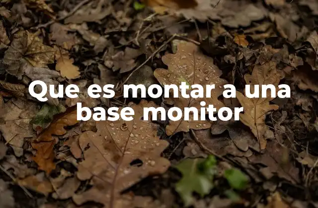 Que es Montar a una Base Monitor
