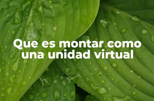 Que es Montar como una Unidad Virtual