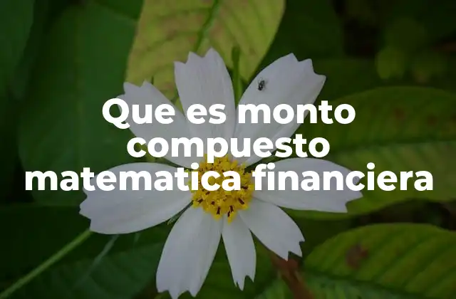 Que es Monto Compuesto Matematica Financiera