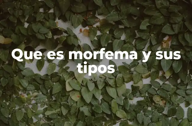 Que es Morfema y Sus Tipos