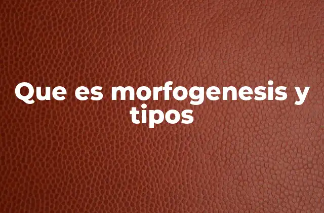 Que es Morfogenesis y Tipos 2 El desarrollo de estructuras biológicas