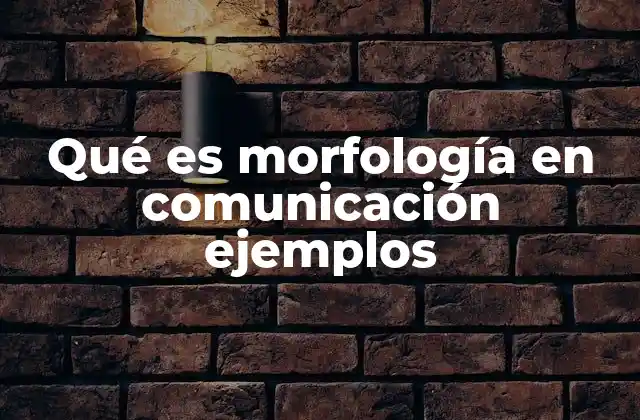 Qué es Morfología en Comunicación Ejemplos