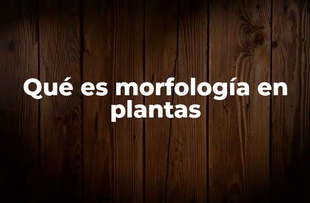 Qué es Morfología en Plantas