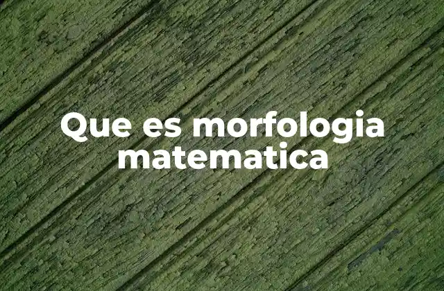 Que es Morfologia Matematica