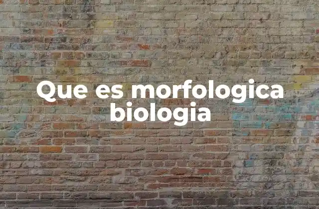 Que es Morfologica Biologia