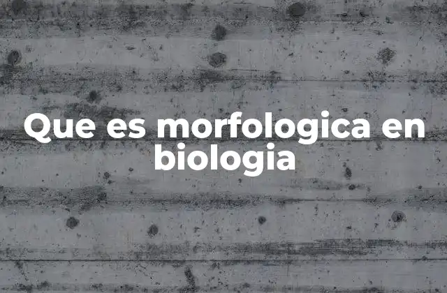 Que es Morfologica en Biologia
