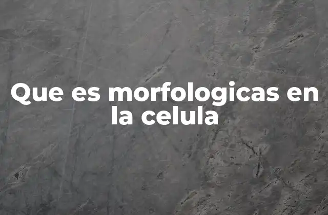 La importancia de la morfología celular en la biología