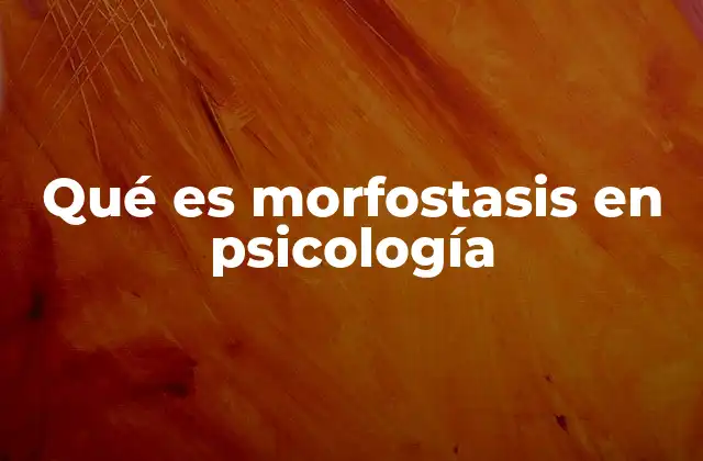 Qué es Morfostasis en Psicología 2 La morfostasis como mecanismo de estabilidad psicológica