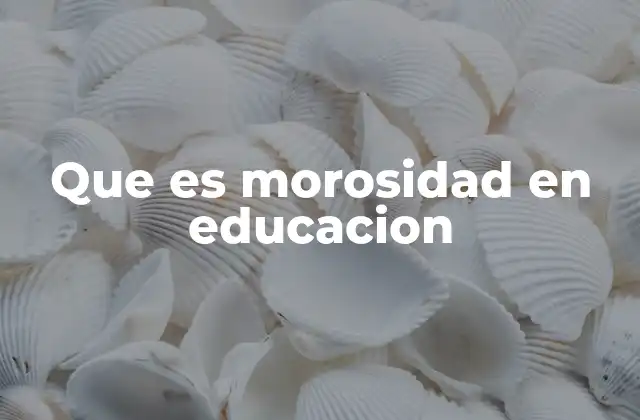 Que es Morosidad en Educacion