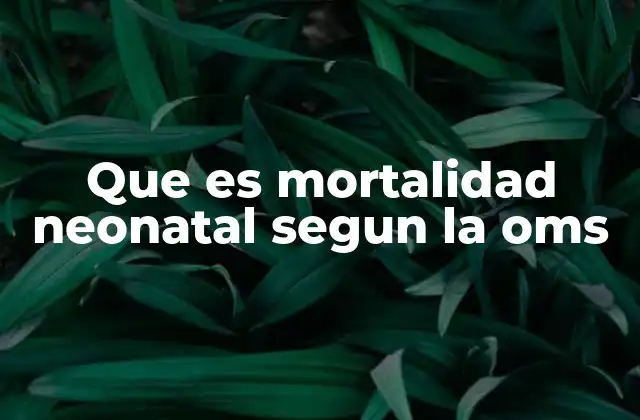 Cómo la OMS monitorea la salud neonatal en todo el mundo