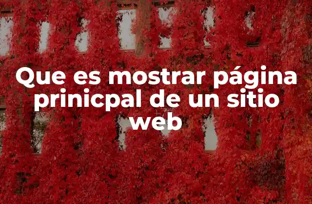 Que es Mostrar Página Prinicpal de un Sitio Web