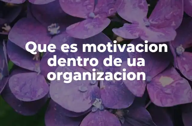 Que es Motivacion Dentro de Ua Organizacion