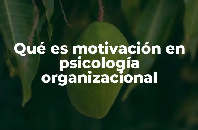Qué es Motivación en Psicología Organizacional
