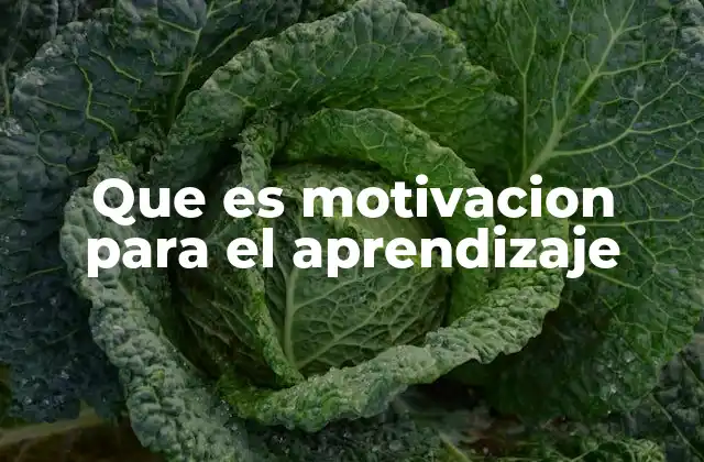 Que es Motivacion para el Aprendizaje