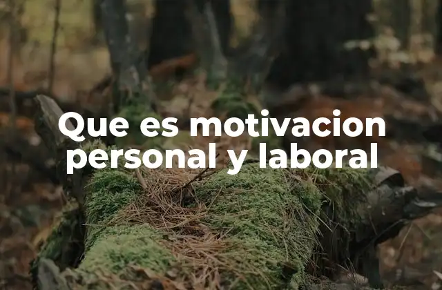 Que es Motivacion Personal y Laboral
