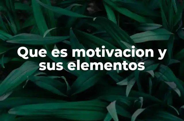 Que es Motivacion y Sus Elementos