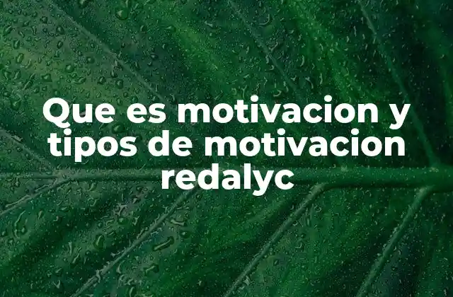 Que es Motivacion y Tipos de Motivacion Redalyc